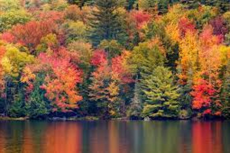 5 Tips for a Healthier You this Fall