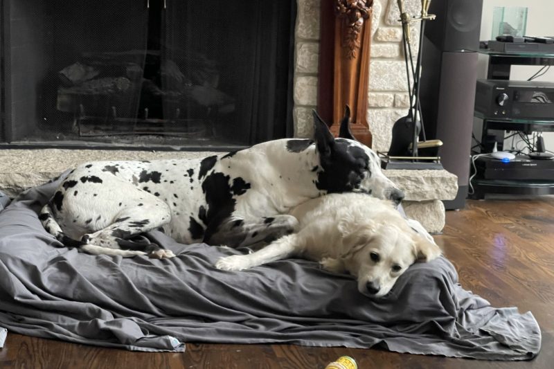 The Benefits of Physical Contact for Mental Health